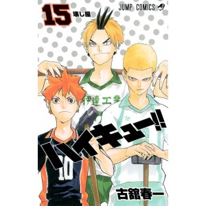 HAIKYUU!! vol. 15 - Edição Japonesa